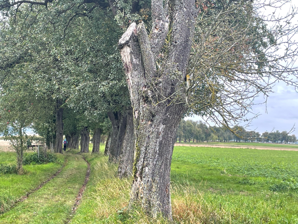 20251004_Pilgerwanderung 5